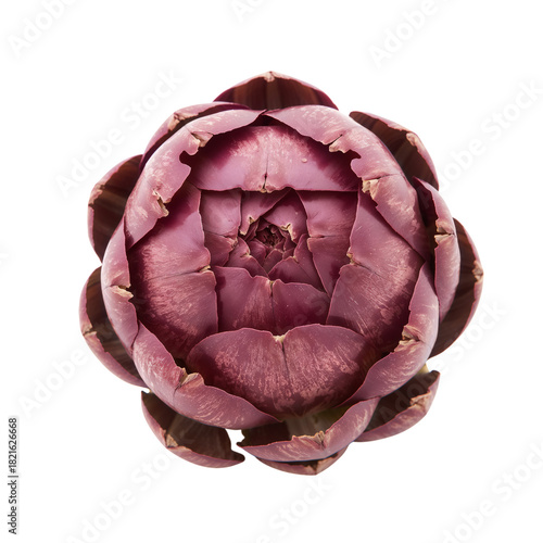 Beautiful Purple Artichoke Showcasing Intricate Details and Textures in a Nat...