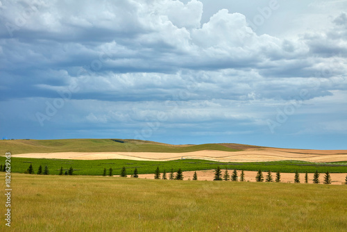 Layered Farmland and Stormy Skies Near Newdale, Idaho