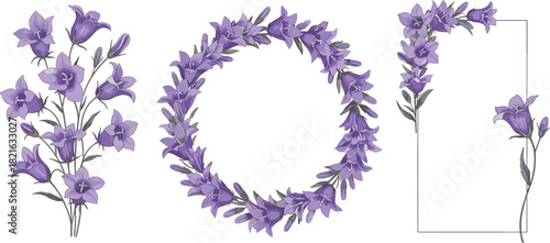 Elegant purple bellflower bouquet, floral wreath, and decorative frame design, botanical illustration for wedding invitations, greeting cards, and spring decor