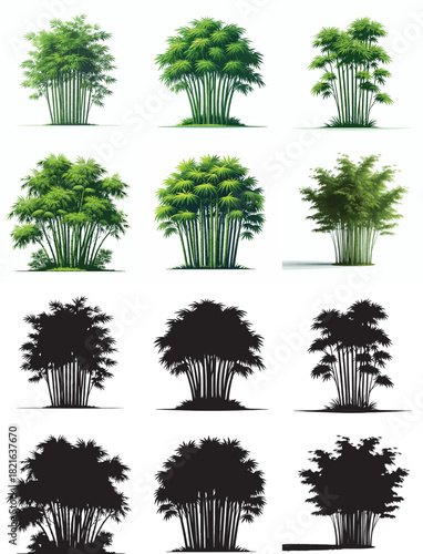 Vector and simple silhouette of bamboo tree on white background