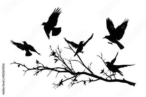 Birds flying around bare tree branches animal nature