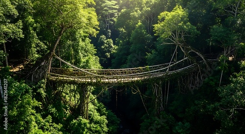 Discover the enchanting living root bridges of Meghalaya India amidst lush green forests for an adventurous travel destination