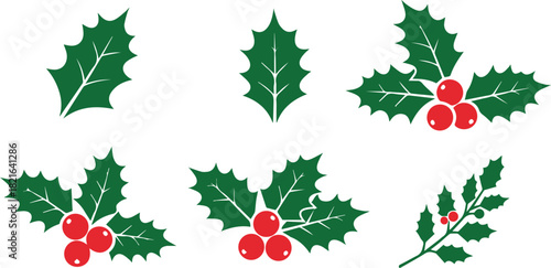 A simple illustration of holly leaves set  and berries style with colorful vector design,  Dark green color & red color various holly leaves design for christmas festival, clean & simple decoration. 
