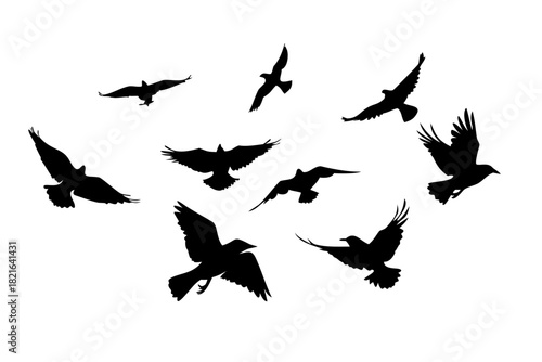 Collection of black bird silhouettes in different poses