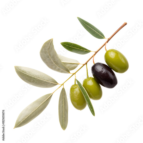 Olive Branch Showcasing Ripe Green and Black Olives With Leaves on a White Ba...