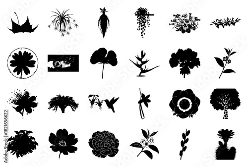 Collection of Botanical and Floral Silhouettes flower