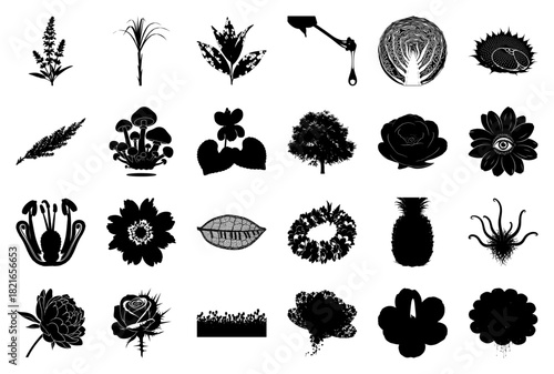 Diverse Black and White Silhouettes of Flora and Fauna Keywords: silhouette, nature, plant