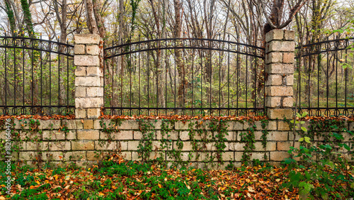 Old abandoned stone fence with wrought iron fencing in jungle