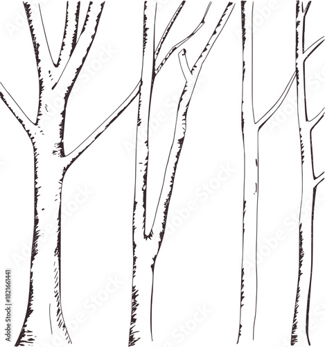Black and white line drawing of tree trunks and branches