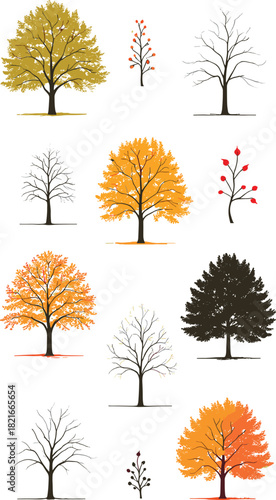Twelve stylized trees showing seasonal foliage diversity and species variation for nature, climate, educational, decorative, and design themes