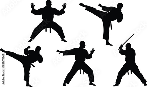 Dynamic black and white silhouettes of martial arts fighters demonstrating various karate, judo, and kung fu kicking and defense poses with a sword, emphasizing strength, discipline, and combat 