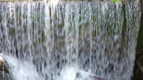 Picturesque Waterfall with Fallen Tree Trunk Amidst Lush Green Foliage