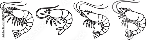 Set of Shrimp Line Art, Coloring Book Page Line Art Drawing, Vector and Illustration