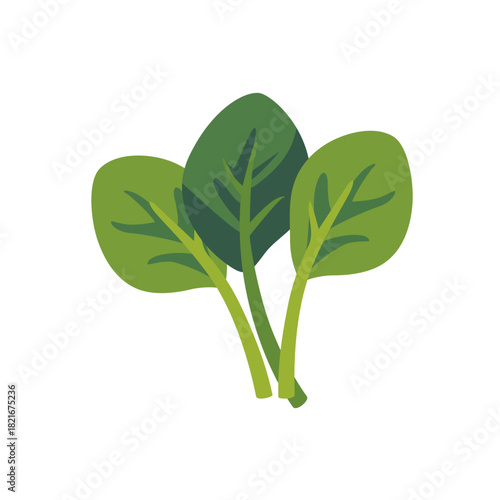 Fresh green spinach leaves bunch vegetable, isolated flat style vector illustration