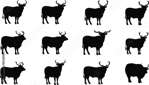Silhouette collection of bulls in various standing poses, showcasing strong animal shapes and farm livestock design elements for agricultural vector artwork.
