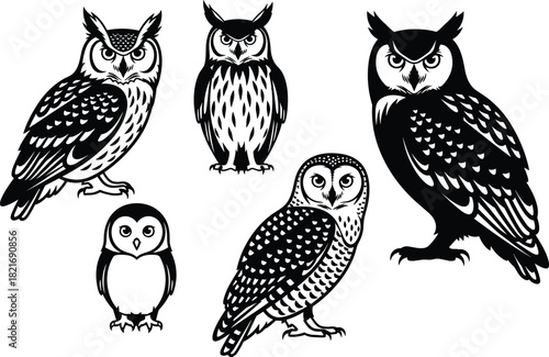 Vector set of five highly detailed black and white owl illustrations showing different species like the Great Horned Owl, perfect for logo and graphic design projects.