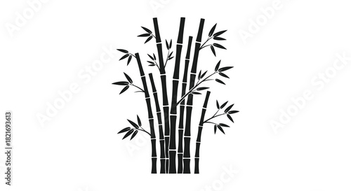 Black bamboo stalks and leaves create a striking botanical silhouette