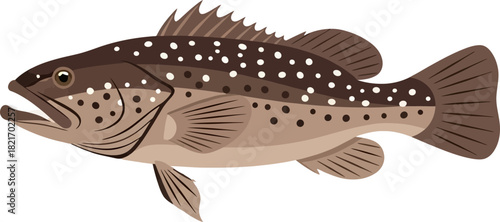 Cartoon speckled grouper aquatic fauna isolated on a black plain background art