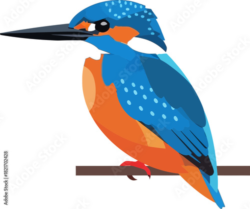 Colorful kingfisher illustration on stark backdrop highlighting vibrant plumage artistry