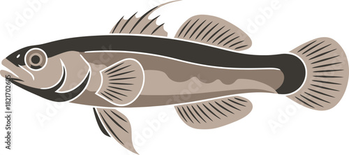 Detailed cartoon fish illustration on a black background showcasing aquatic creature form