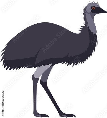 Detailed Illustration of a Flightless Bird Against a Dark Backdrop Showcasing Feathers