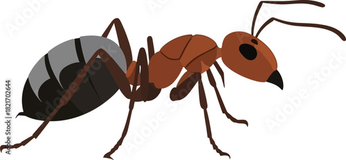 Detailed illustration of an isolated insect ant over a black background perfect for projects