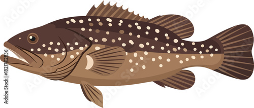 Elegant digital illustration of a speckled brown grouper swimming on a black background