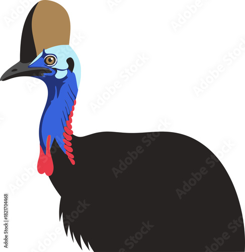 Stylized Cassowary Illustration Against a Dark Backdrop Emphasizing Exotic Bird Details