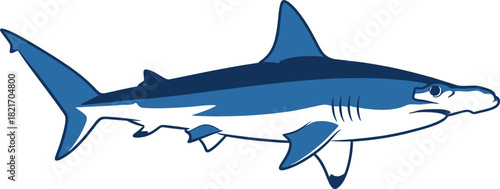 Stylized hammerhead shark illustration with blue and white shades on black background