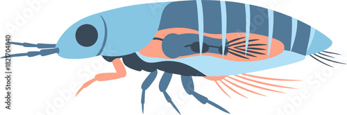 Stylized illustration of a Amphipod crustacean in shades of blue and pink on black background
