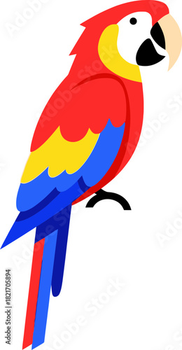 Vibrant macaw illustration with striking plumage and playful composition that brings a tropical