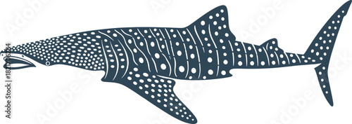 Abstract minimalistic illustration of a whale shark on a clean black background