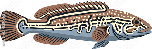 Artistic depiction of a colorful freshwater fish with unique patterns on black background