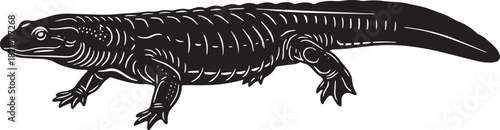Detailed silhouette of a newt salamander amphibian vector illustration graphic art design for backgrounds and creative projects