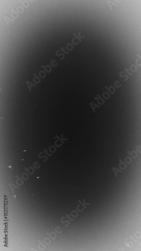 白黒の怖い、古い映像風のノイズエフェクトの枠。縦長のスマートフォンサイズ