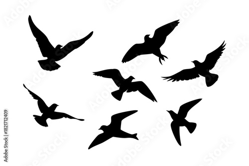Flock of birds flying and perched on white background