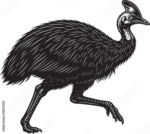 Striking Illustration of a Southern Cassowary Bird Walking in Black and White Detailed Vector Art