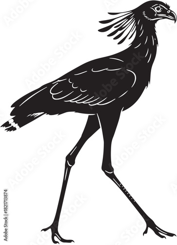 Striking Silhouette of a Secretarybird in Motion Elegant Black and White Avian Art for Graphic Design and Illustration Projects