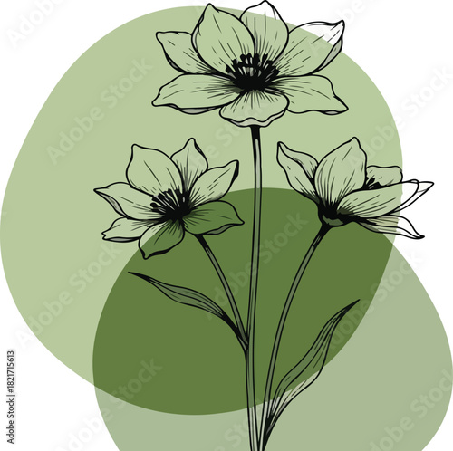 flower, pattern, flowers, bouquet, ornament, silhouette, frame, vintage, summer, spring, blossom, illustration, floral, vector, plant, decoration, art, drawing, flora, rose, card, wallpaper, leaf, nat