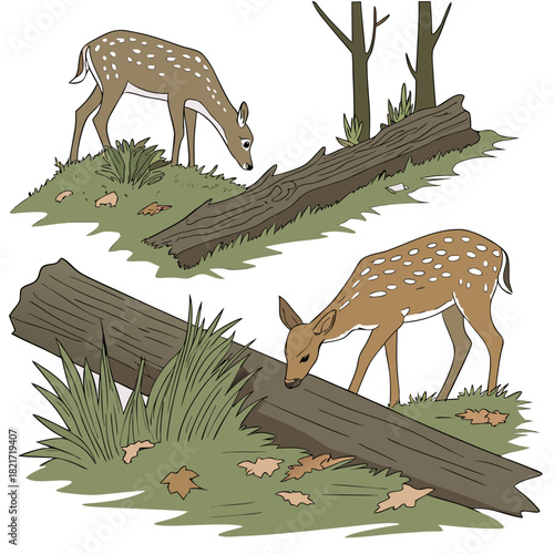 Two adorable spotted fawns exploring a forest floor with fallen logs and autumn leaves