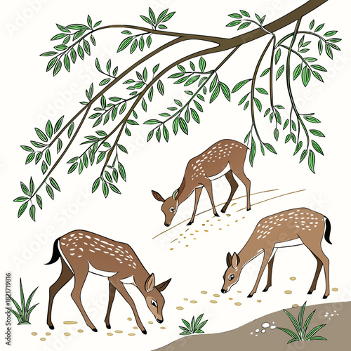 Three spotted fawns grazing on seeds beneath a tree branch with green leaves in a natural setting