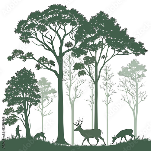 Silhouette of a majestic stag a grazing fawn and a person in a lush forest with varied trees