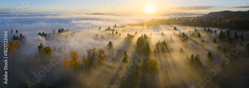 Morning sunlight illuminates fog as it drifts through a peaceful, forested landscape near Portland, Oregon. Fog and mist is common in the Pacific Northwest and helps forests stay healthy.