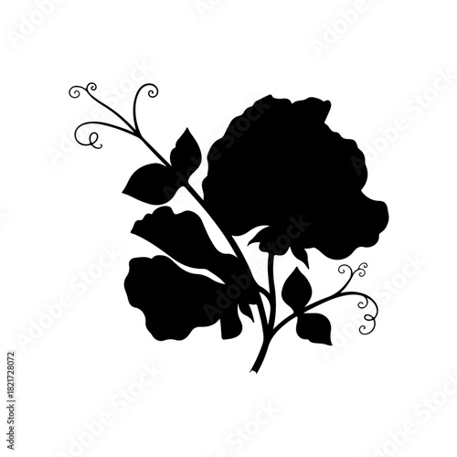 Silhouette of a sweet pea flower