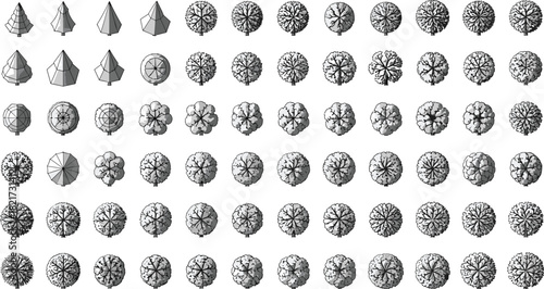 Architectural Plan View Tree Symbols, Top View CAD Drawings, Landscape Design Elements, Vector Illustration for Drafting