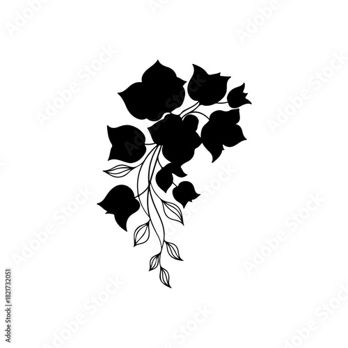 Black silhouette of ivy leaves and vines