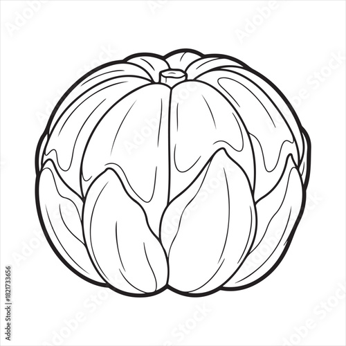 Black and white line drawing of a whole round elephant apple viewed from above.