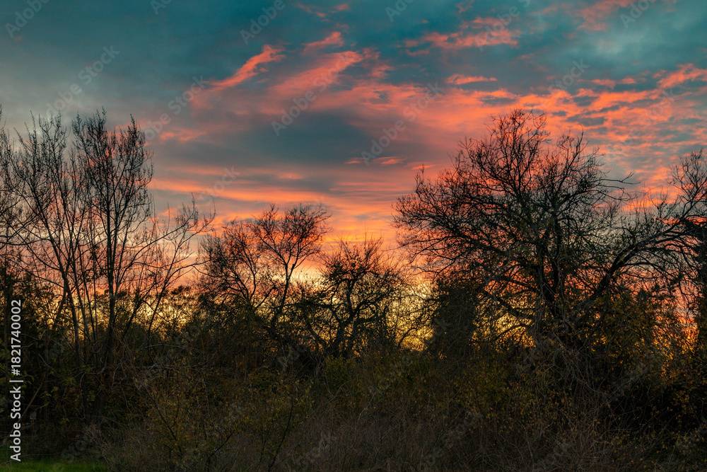 Obraz premium Silhouettes of bare trees against a stunning Mediterranean sunset sky with pink clouds and golden glow. A dramatic and minimalist winter scene in Turkey.