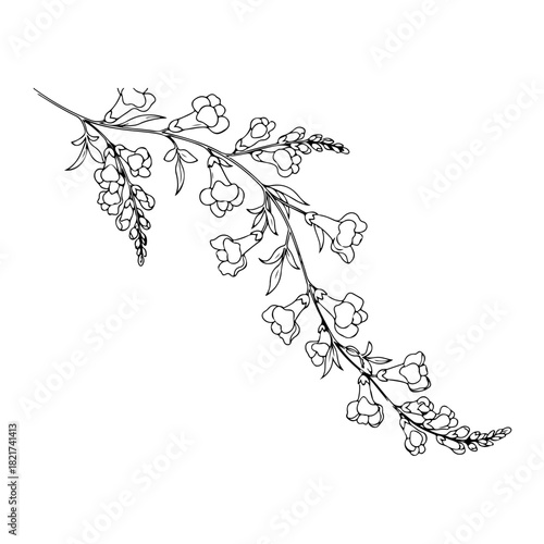 Bellflower branch line art