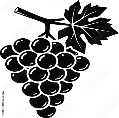 grape, vector, leaf, plant, purple, green, agriculture, branch, nature, illustration, bunch, fruit, grapes, wine, ripe, healthy, design, grapevine, autumn, sweet, harvest, food, vine